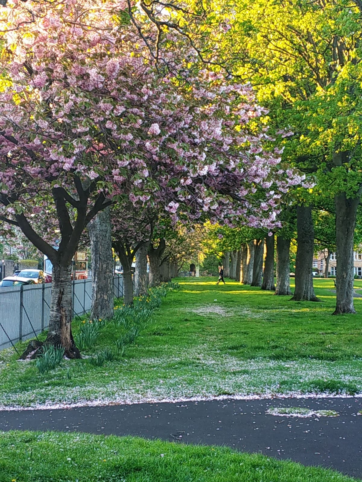 Victoria Park - Image 2