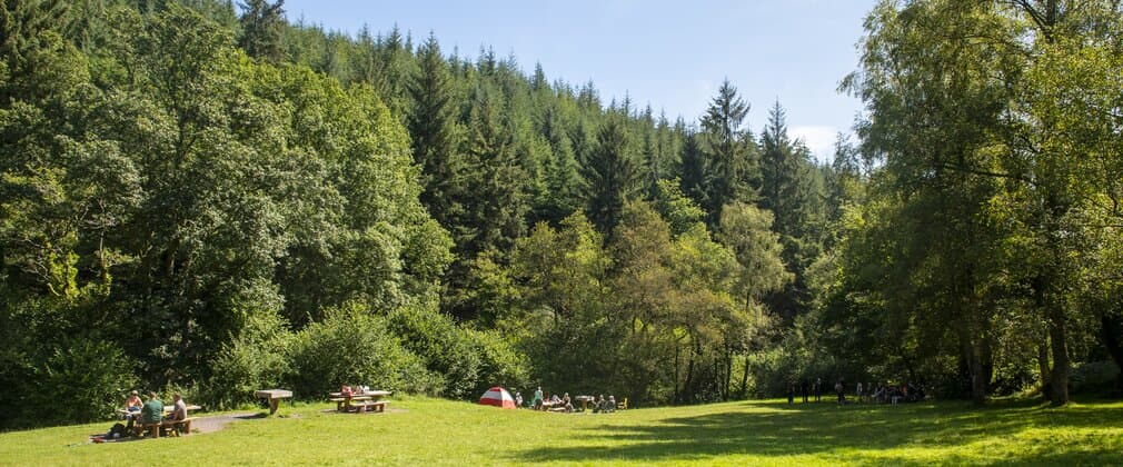 Great Wood - Main view
