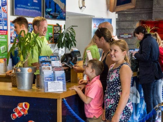 Skegness Aquarium - Main view
