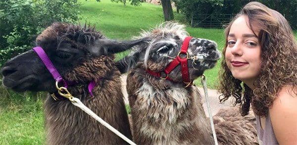Briery Hill Llamas - Image 2
