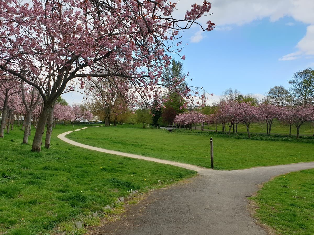 Knightswood Park - Image 2