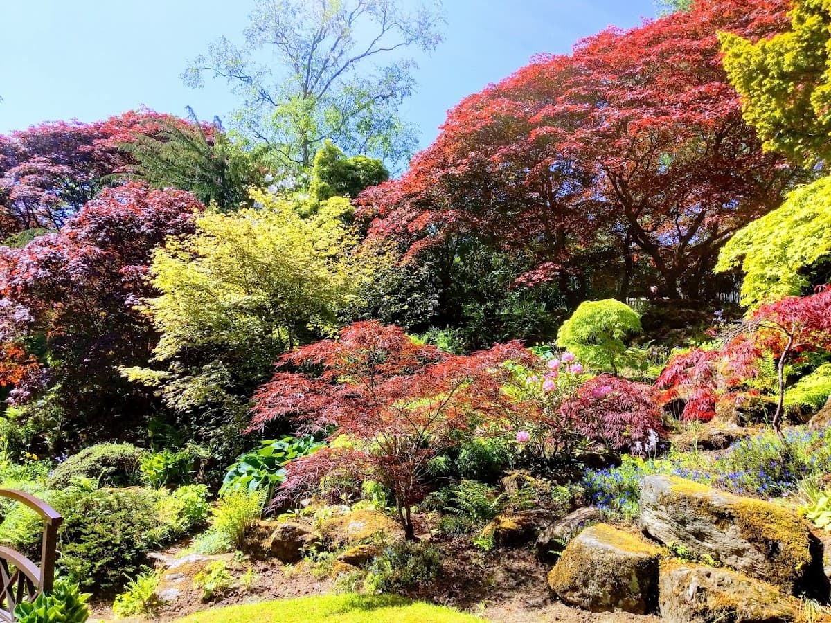 Johnston Gardens - Main view
