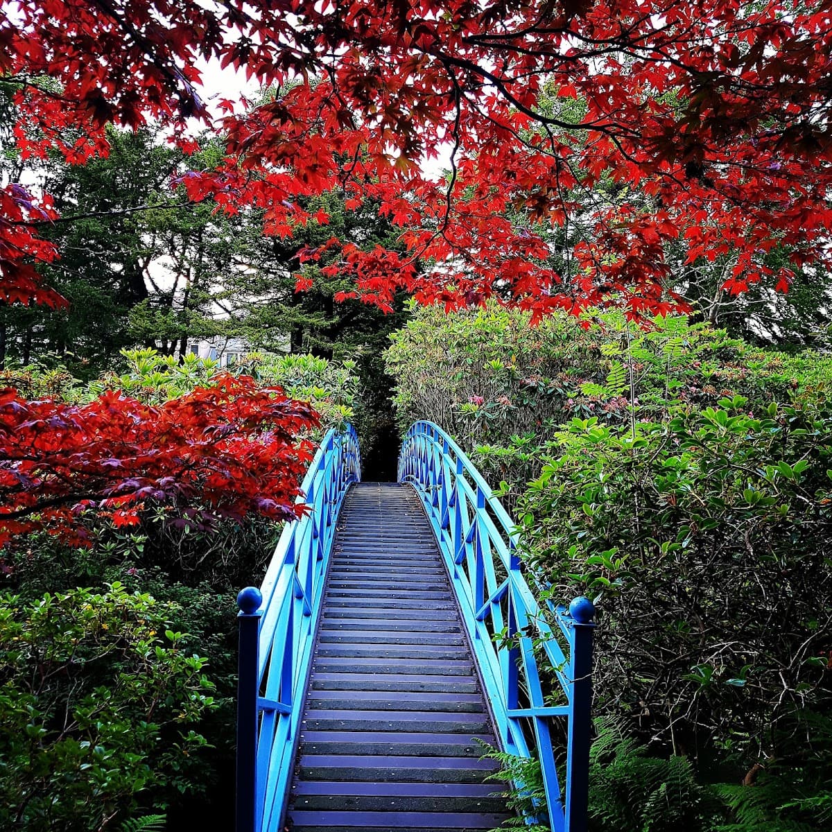 Johnston Gardens - Image 2