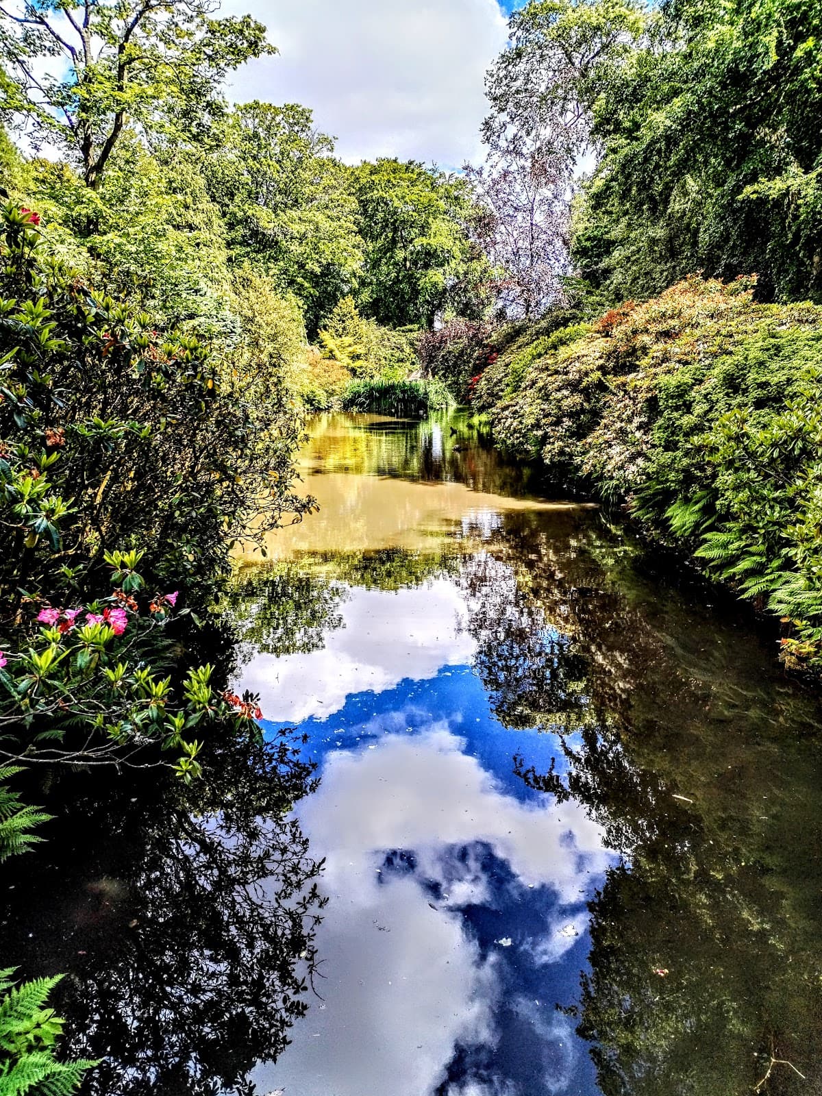 Johnston Gardens - Image 3