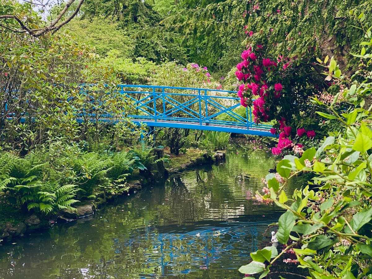 Johnston Gardens - Image 4