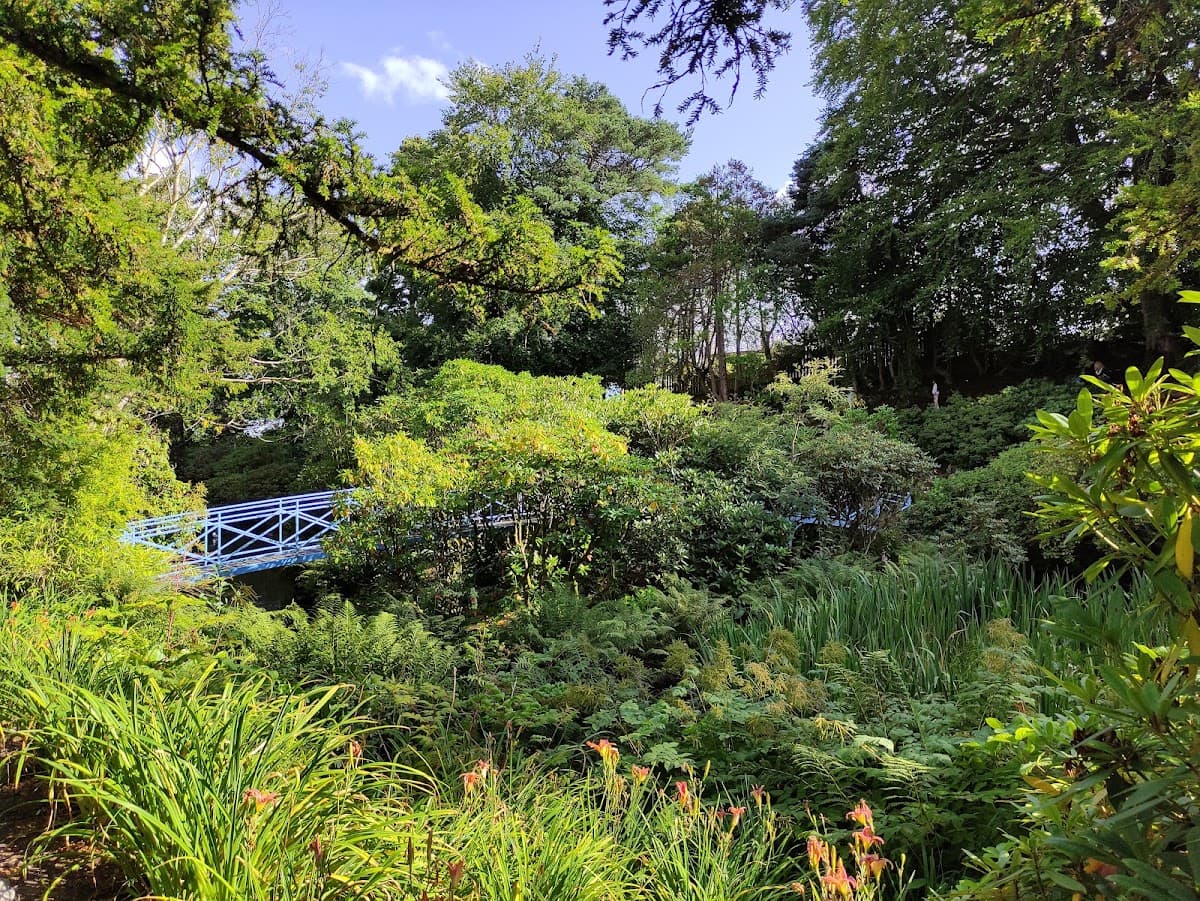 Johnston Gardens - Image 5