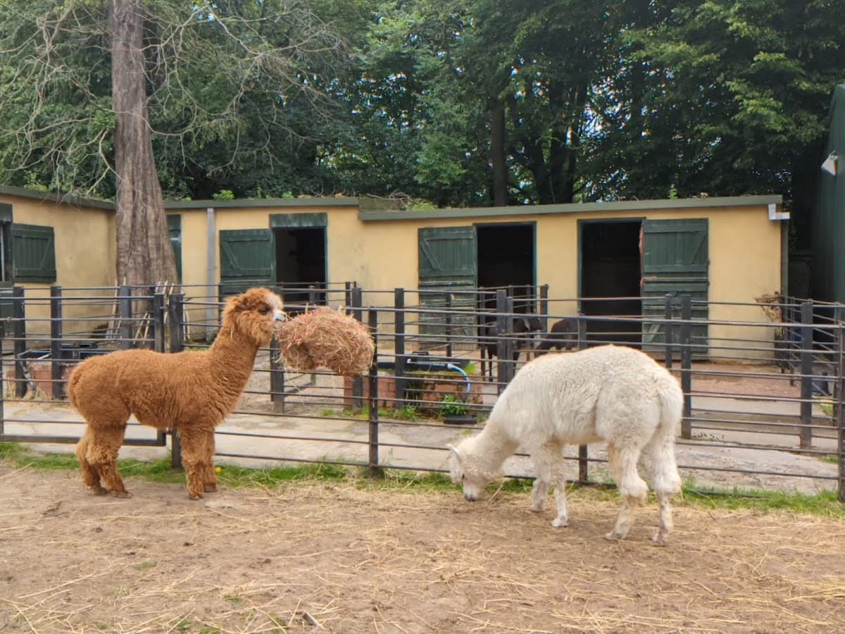 Tollcross Farm