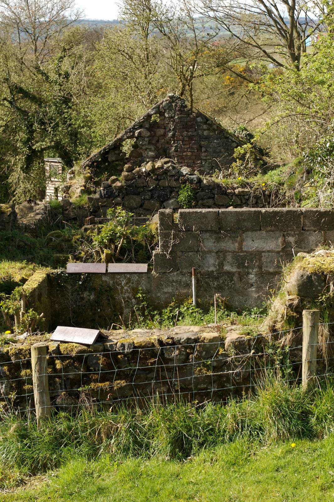 National Trust - Patterson's Spade Mill - Image 3