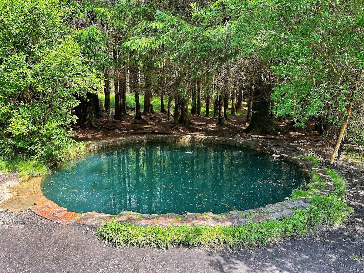 Torwood Blue Pool - Main view