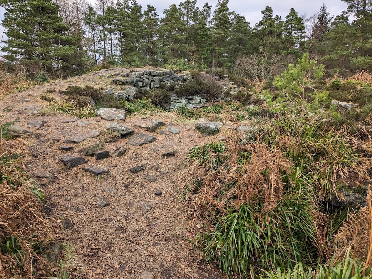Torwood Blue Pool - Image 3