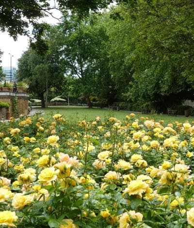 St John's Wood Church Gardens - Main view