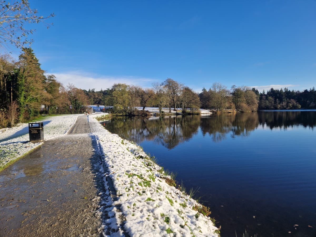 Hillsborough Forest Park - Image 2