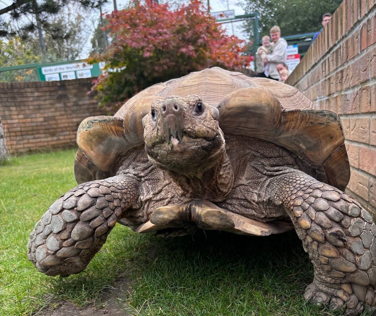 Five Sisters Zoo - Image 2