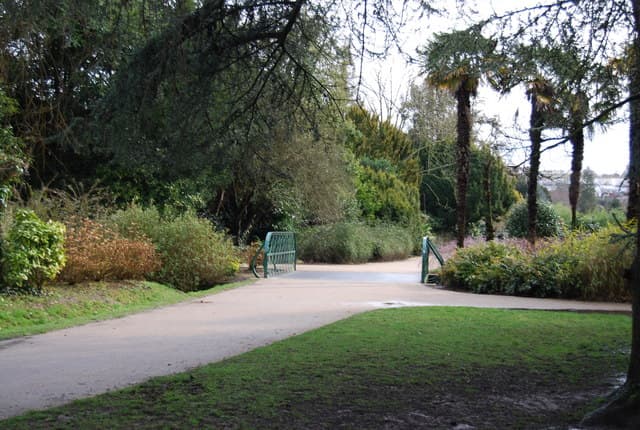 Alexandra Park woodland Railway - Main view