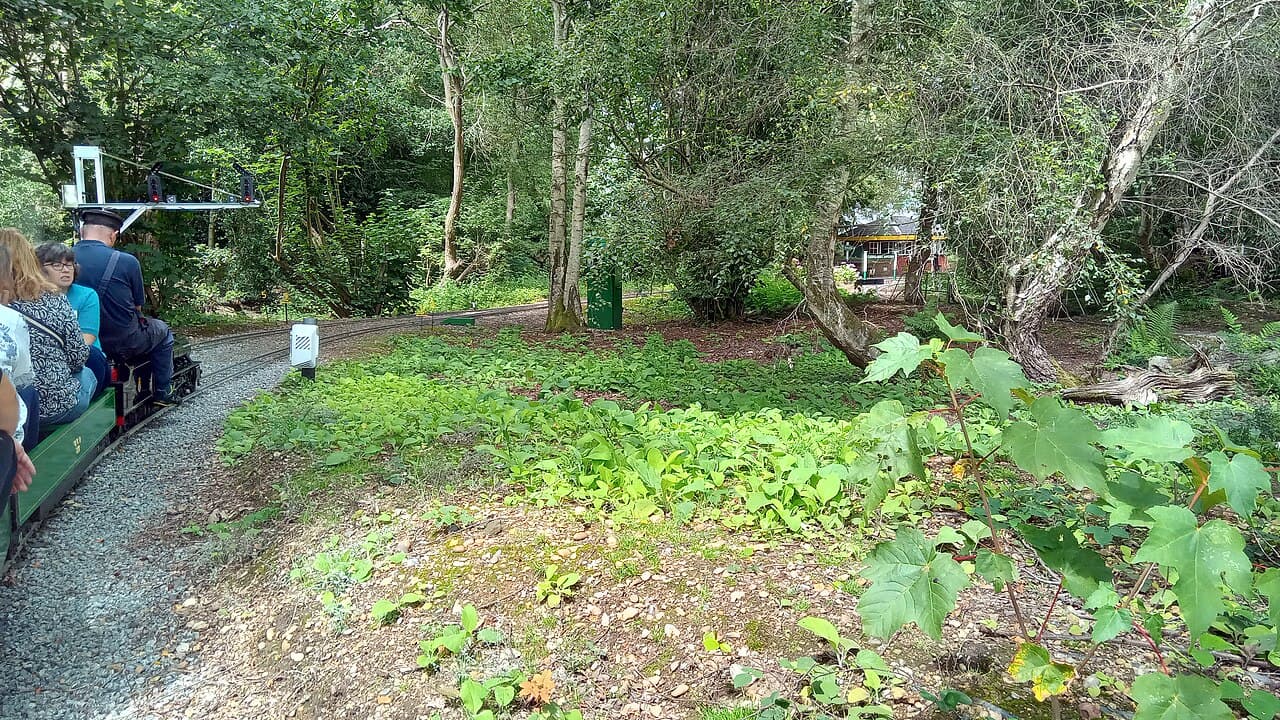 Great Cockcrow Railway - Image 2