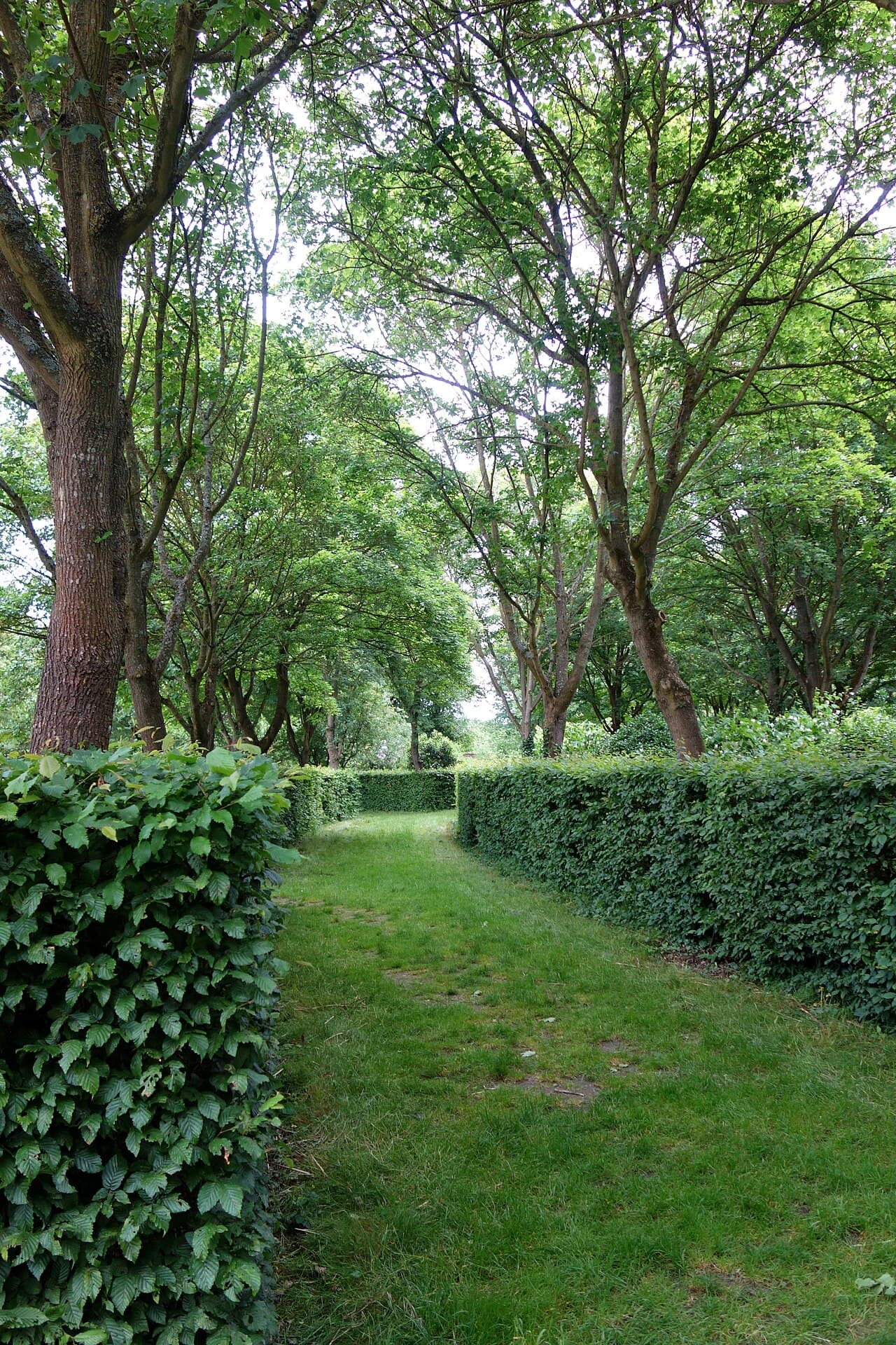 Ham House and Garden - Image 4