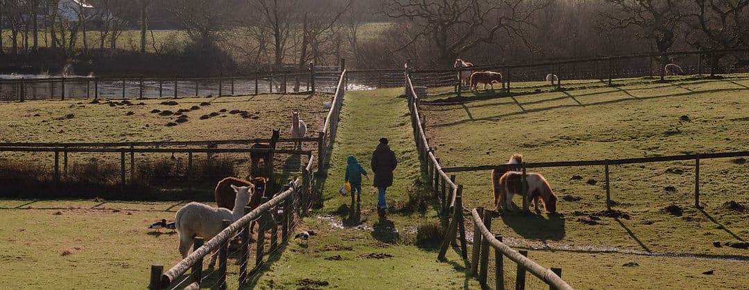 Warren Mill Farm - Image 2