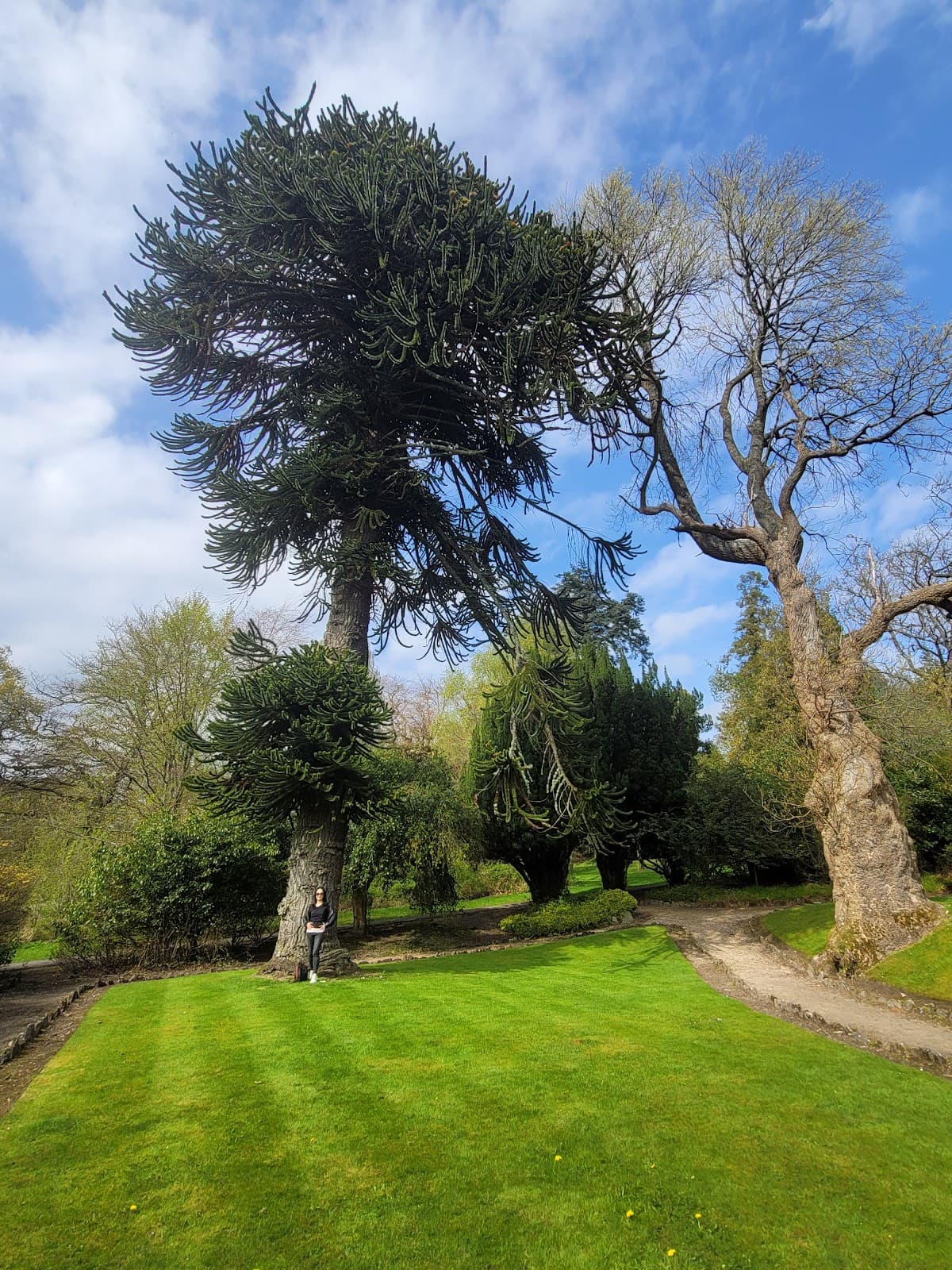Balloch Castle Country Park - Image 5