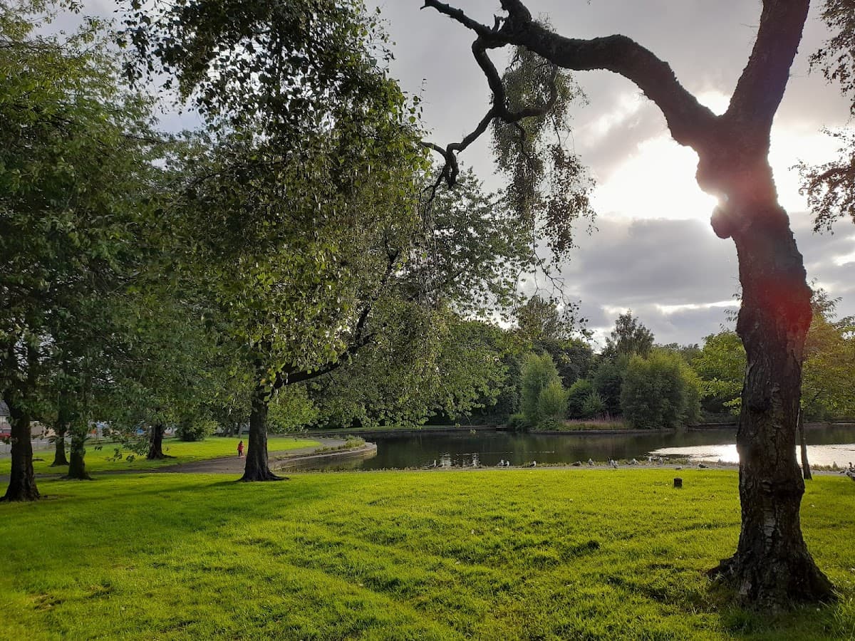 Richmond Park - Image 1