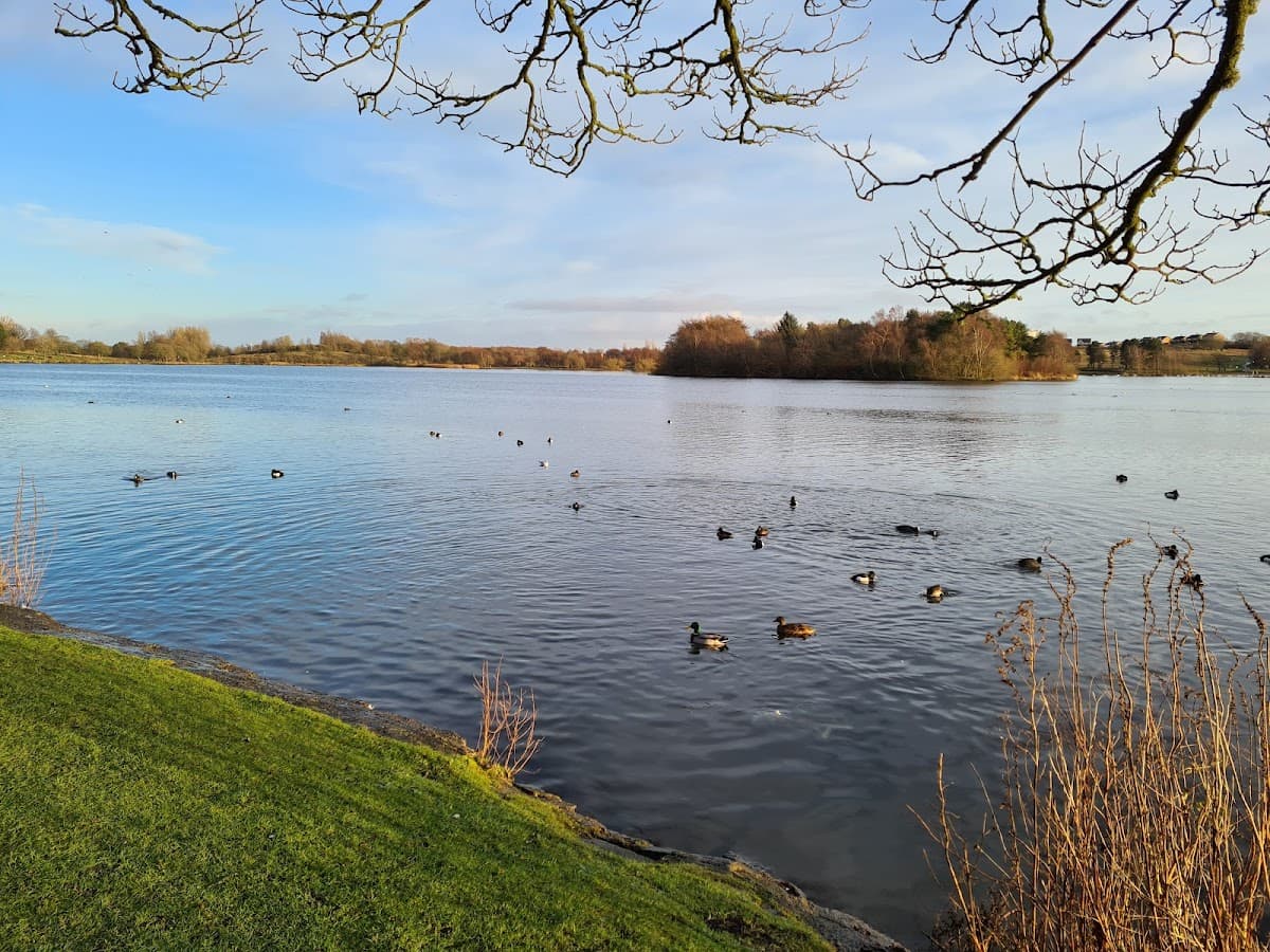 Hogganfield Park - Image 2