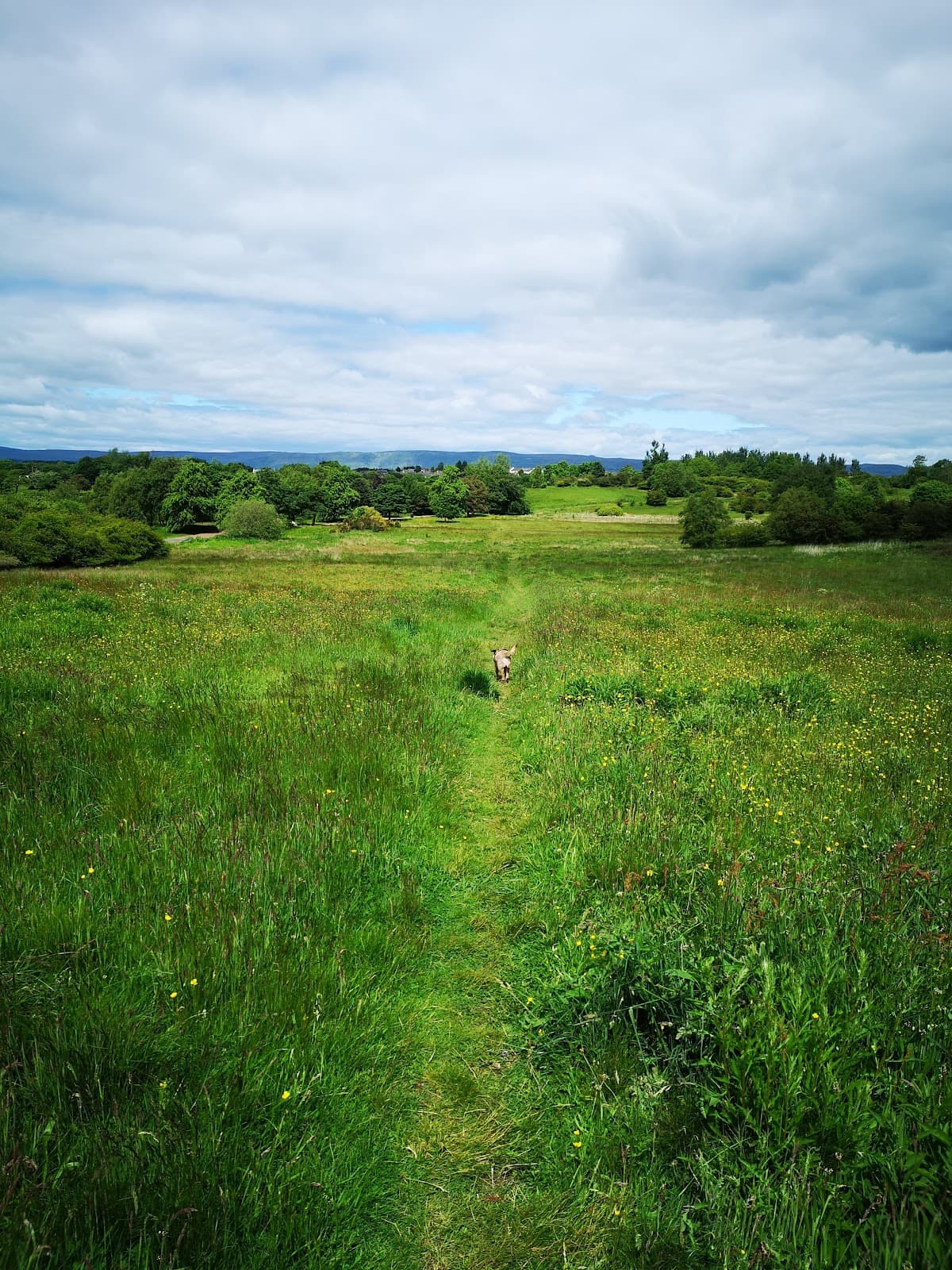 Hogganfield Park - Image 3