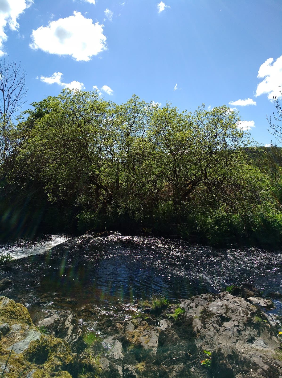Birkmyre Park - Image 3