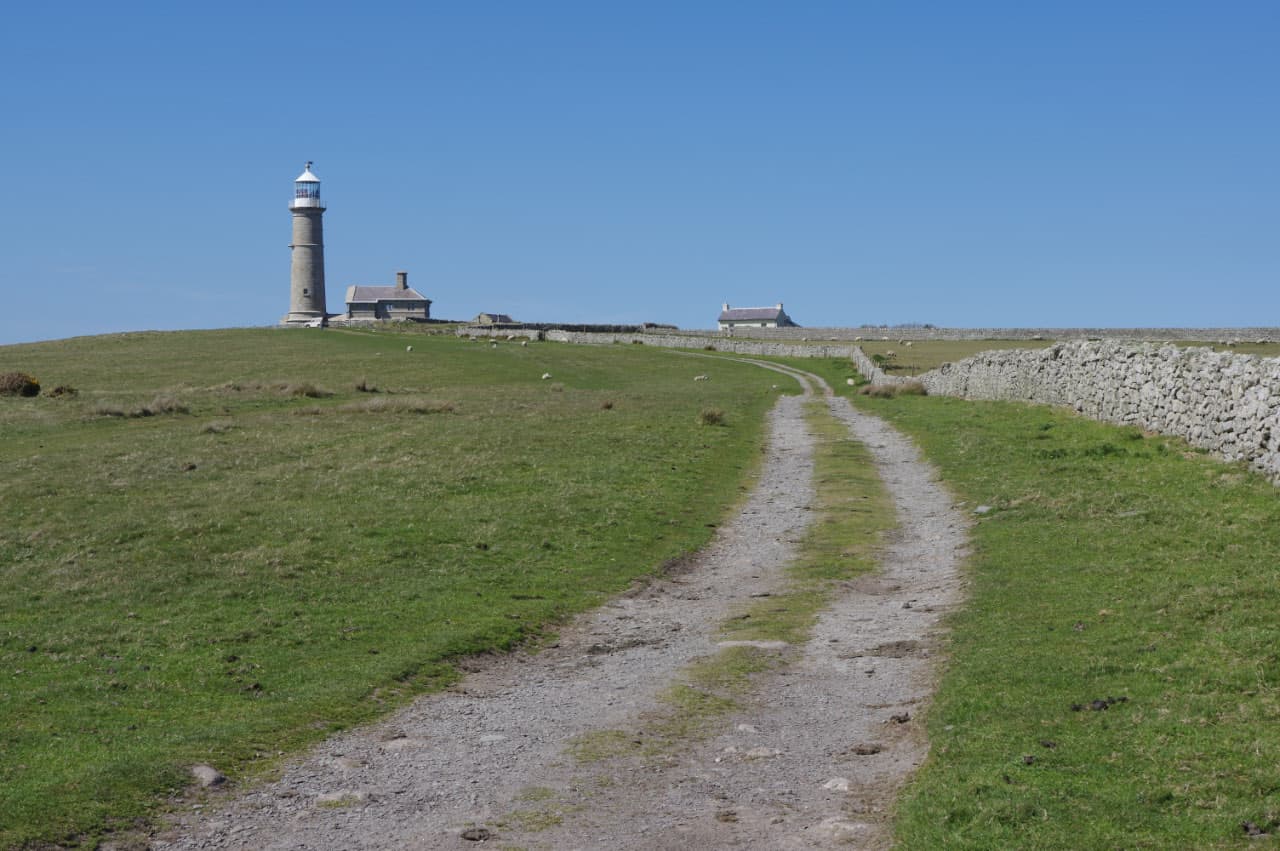 National Trust - Lundy - Image 4