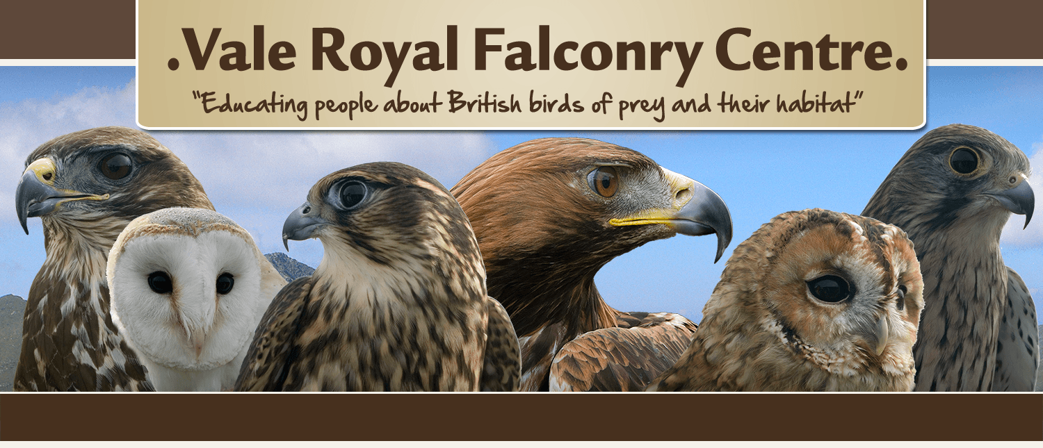 Vale Royal Falconry Centre - Main view