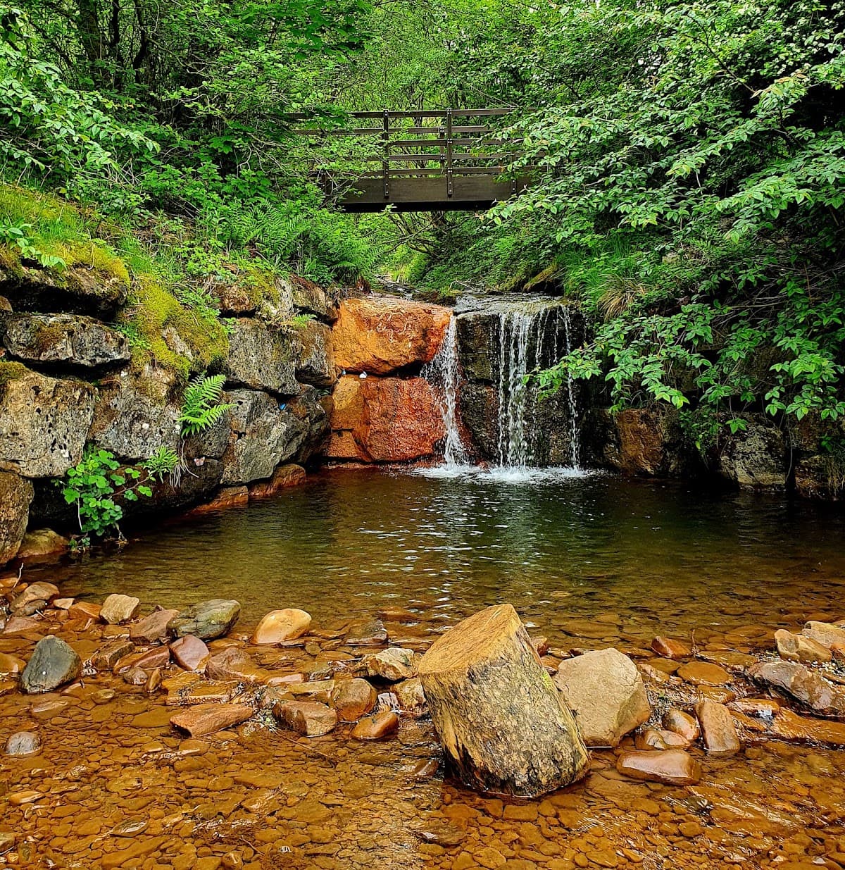 Clydach Vale Country Park - Main view