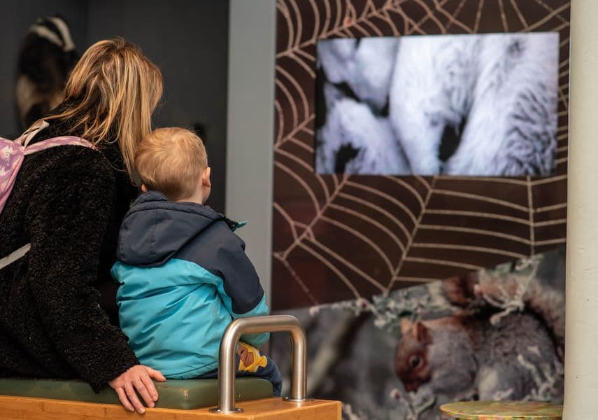 Leeds City Museum - Image 4