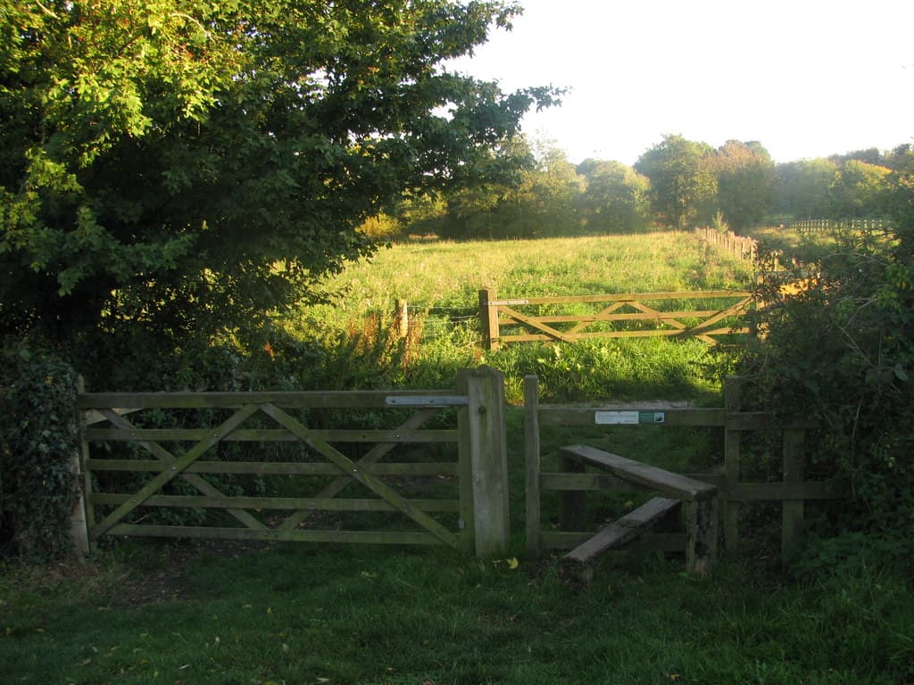 Smallbrook Meadows Nature Reserve - Main view