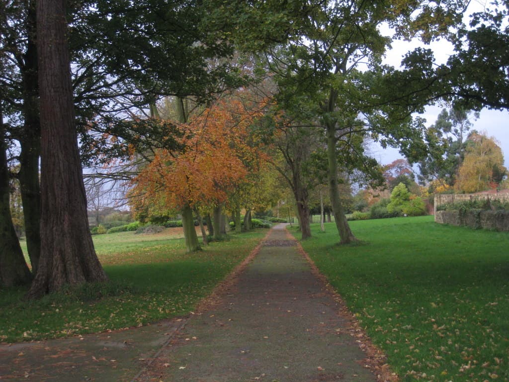 Cusworth Hall - Image 3