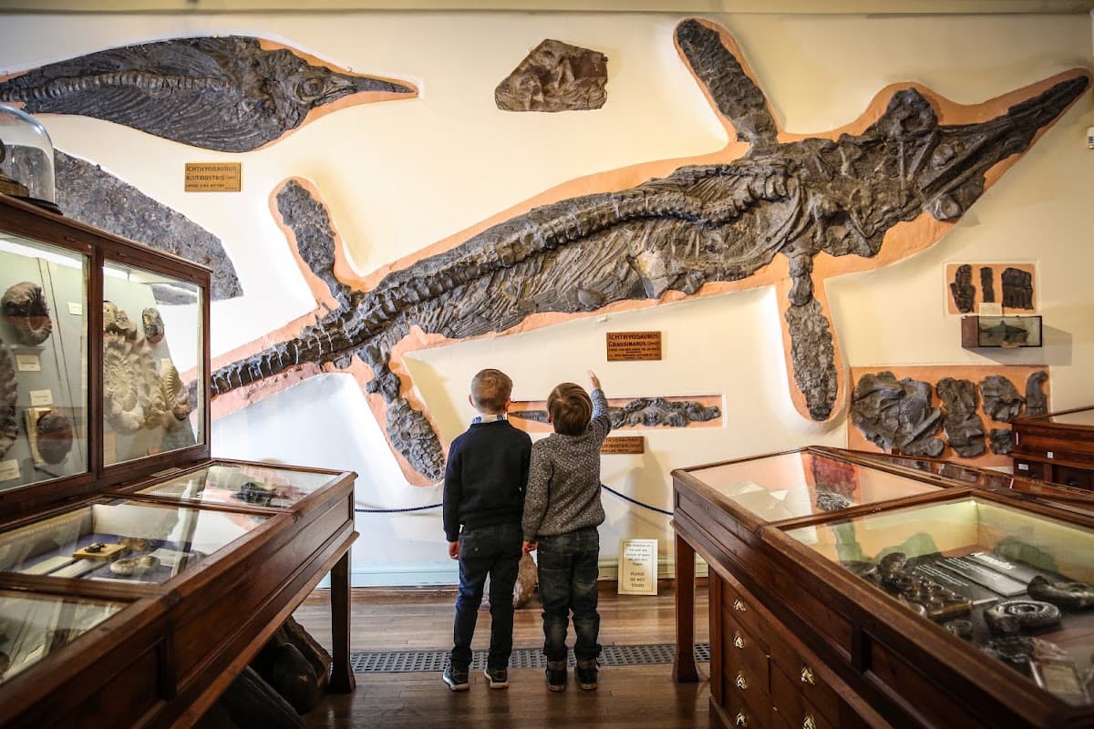 Whitby Museum - Image 1