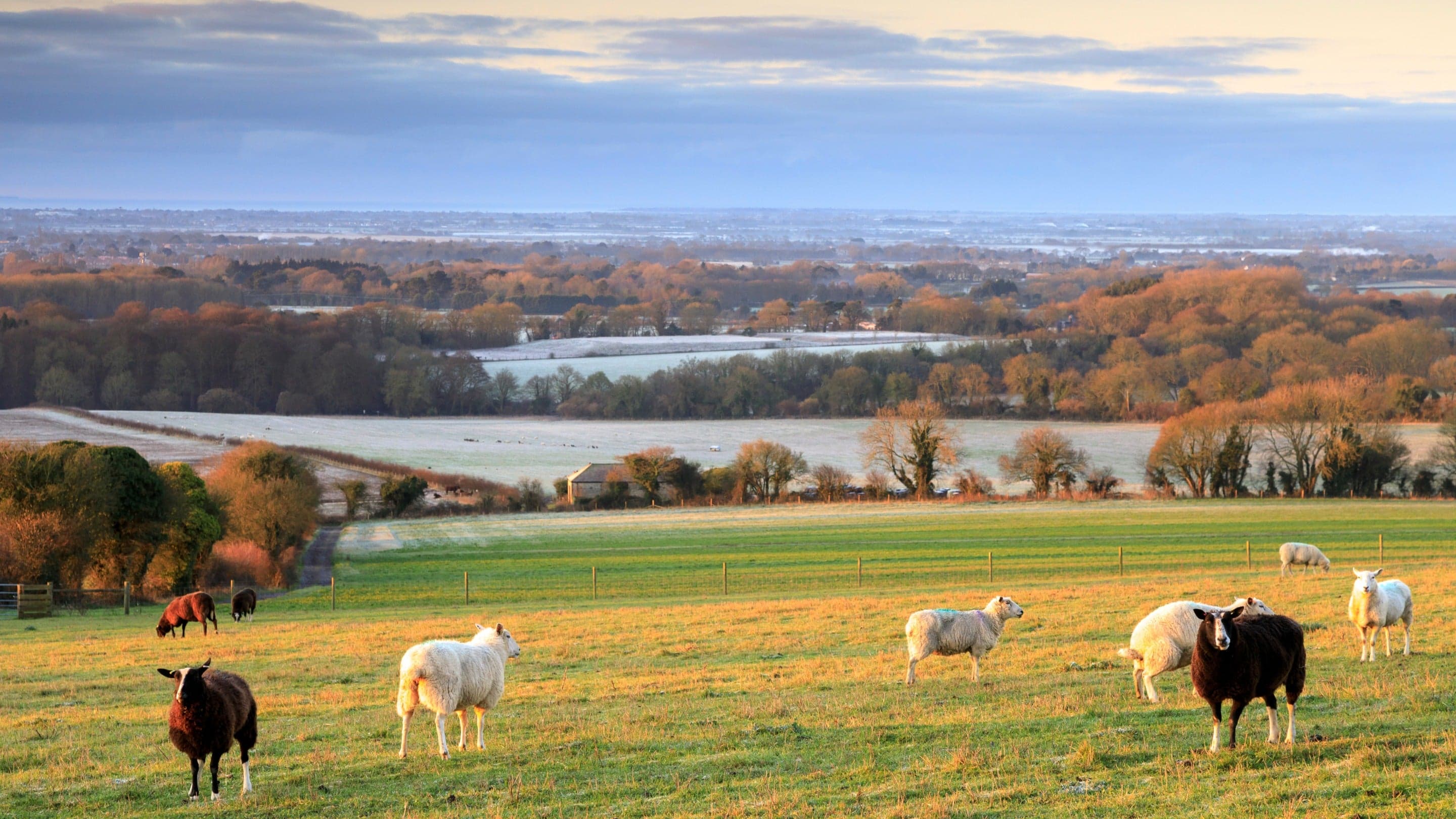 National Trust - Slindon Estate - Image 3