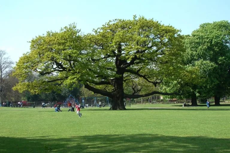 Bruce Castle Park - Image 1