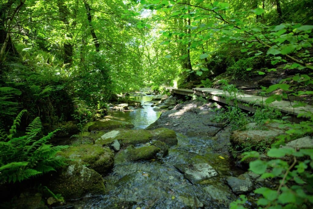 St Nectan's Waterfall - Image 2