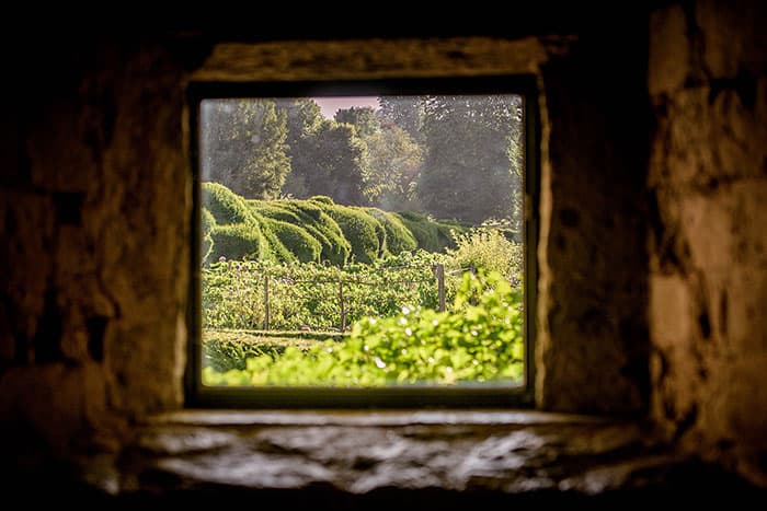 Walmer Castle and Gardens - Image 3