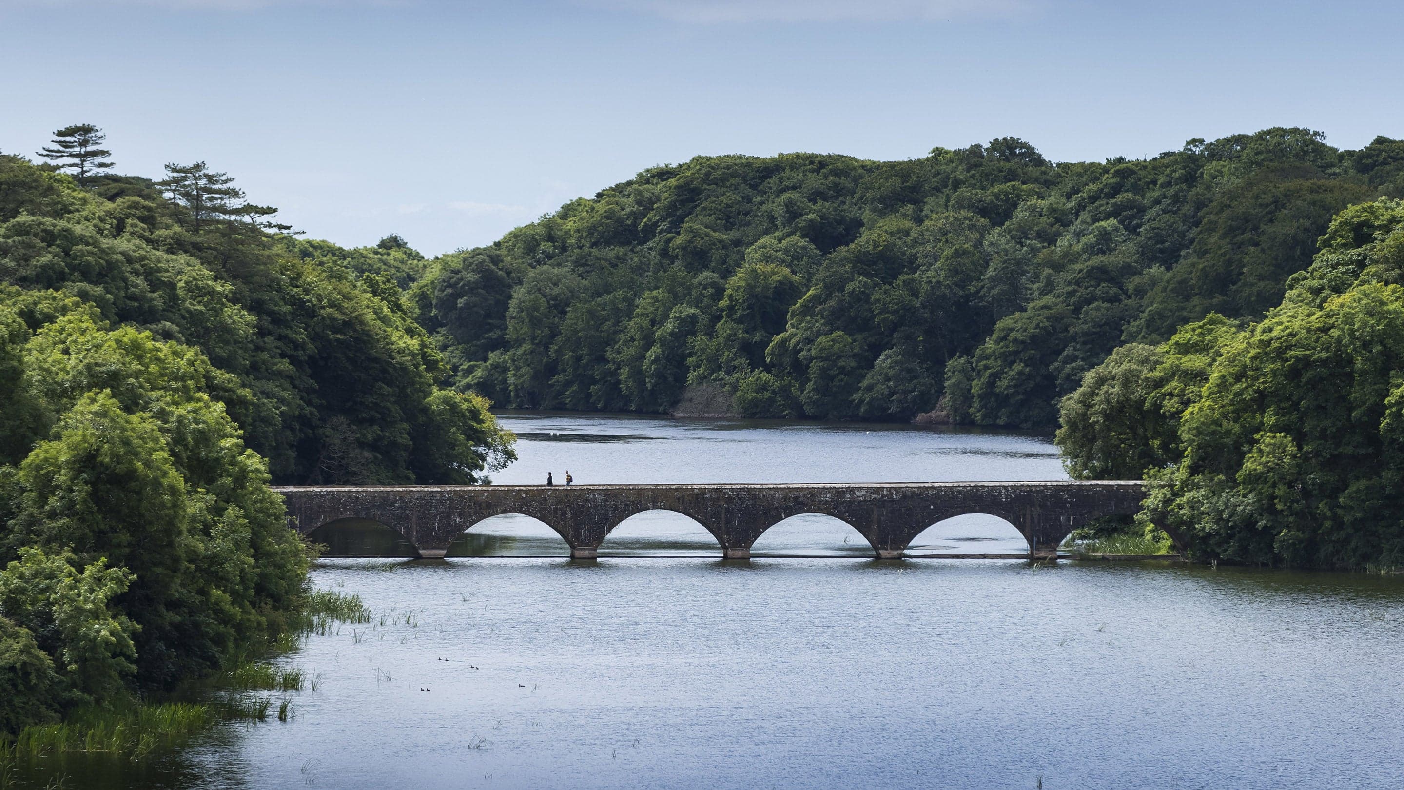 Stackpole Quay - Image 2
