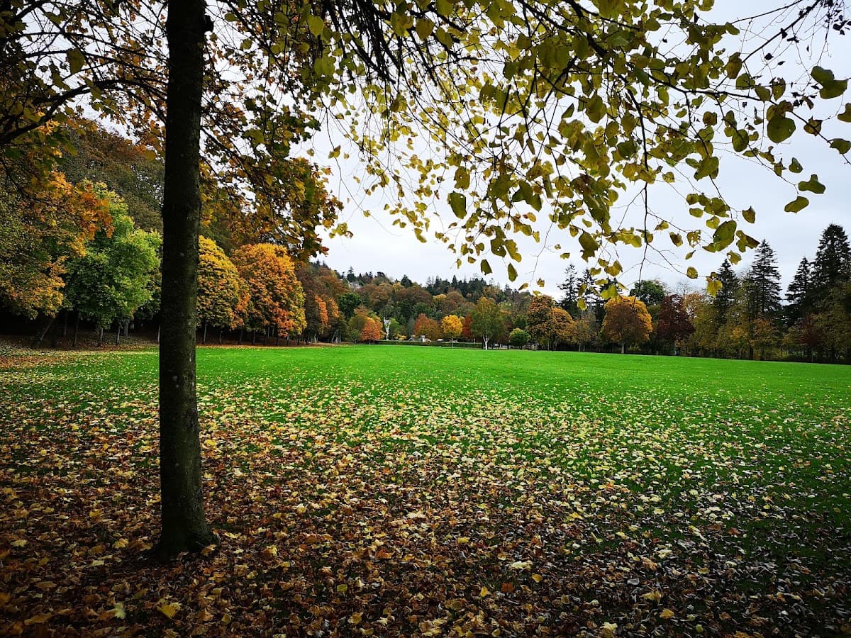 Wilton Lodge Park - Image 3