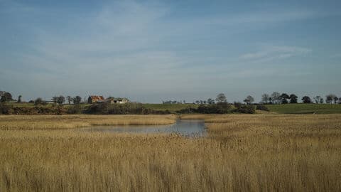 Hen Reedbeds - Main view