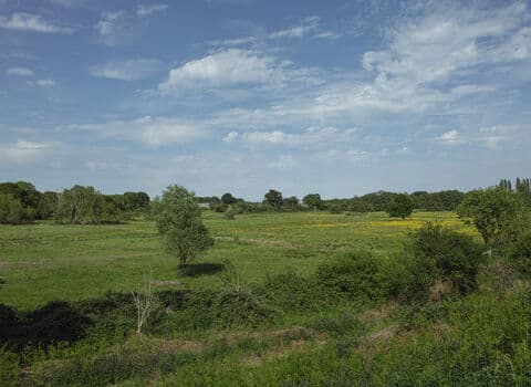 Hen Reedbeds - Image 2