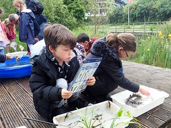 Greenwich Peninsula Ecology Park - TCV - Main view