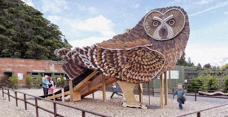 Scottish Owl Centre - Image 4
