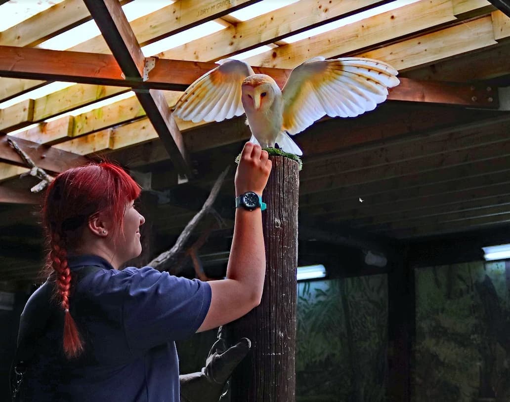 Scottish Owl Centre