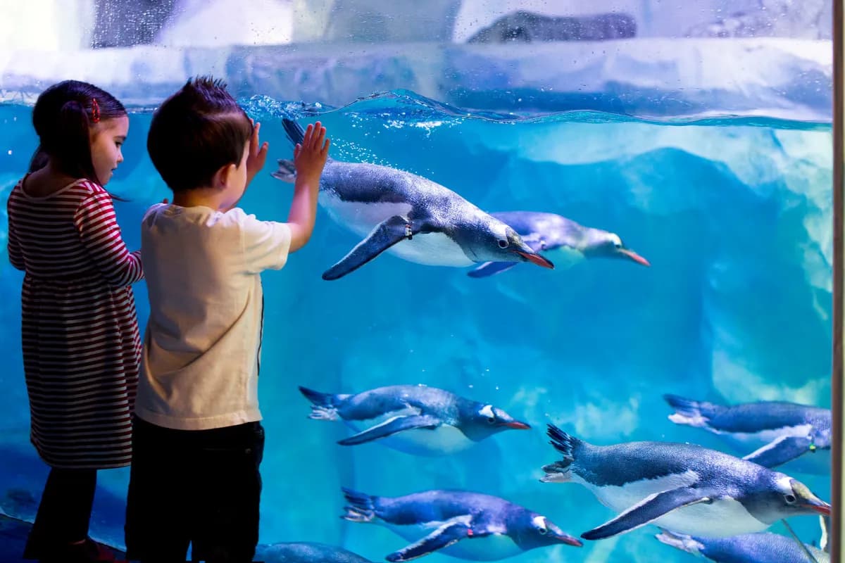 National SEA LIFE Centre Birmingham - Main view