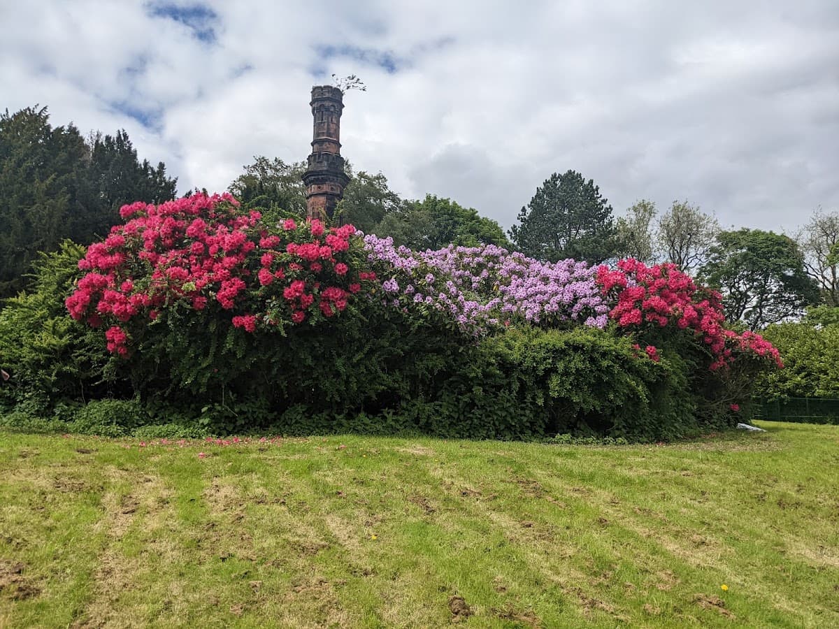 Rosshall Park - Main view