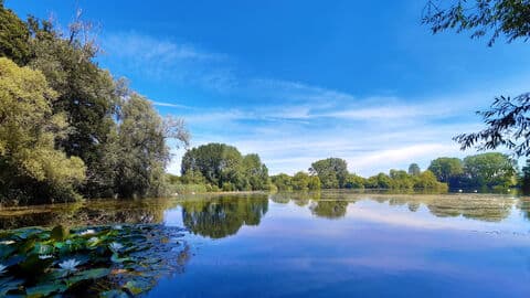Langford Lakes Nature Reserve, Wiltshire Wildlife Trust - Main view