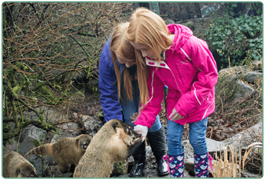 Calderglen Country Park and Zoo - Image 2