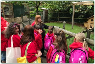 Calderglen Country Park and Zoo - Image 3