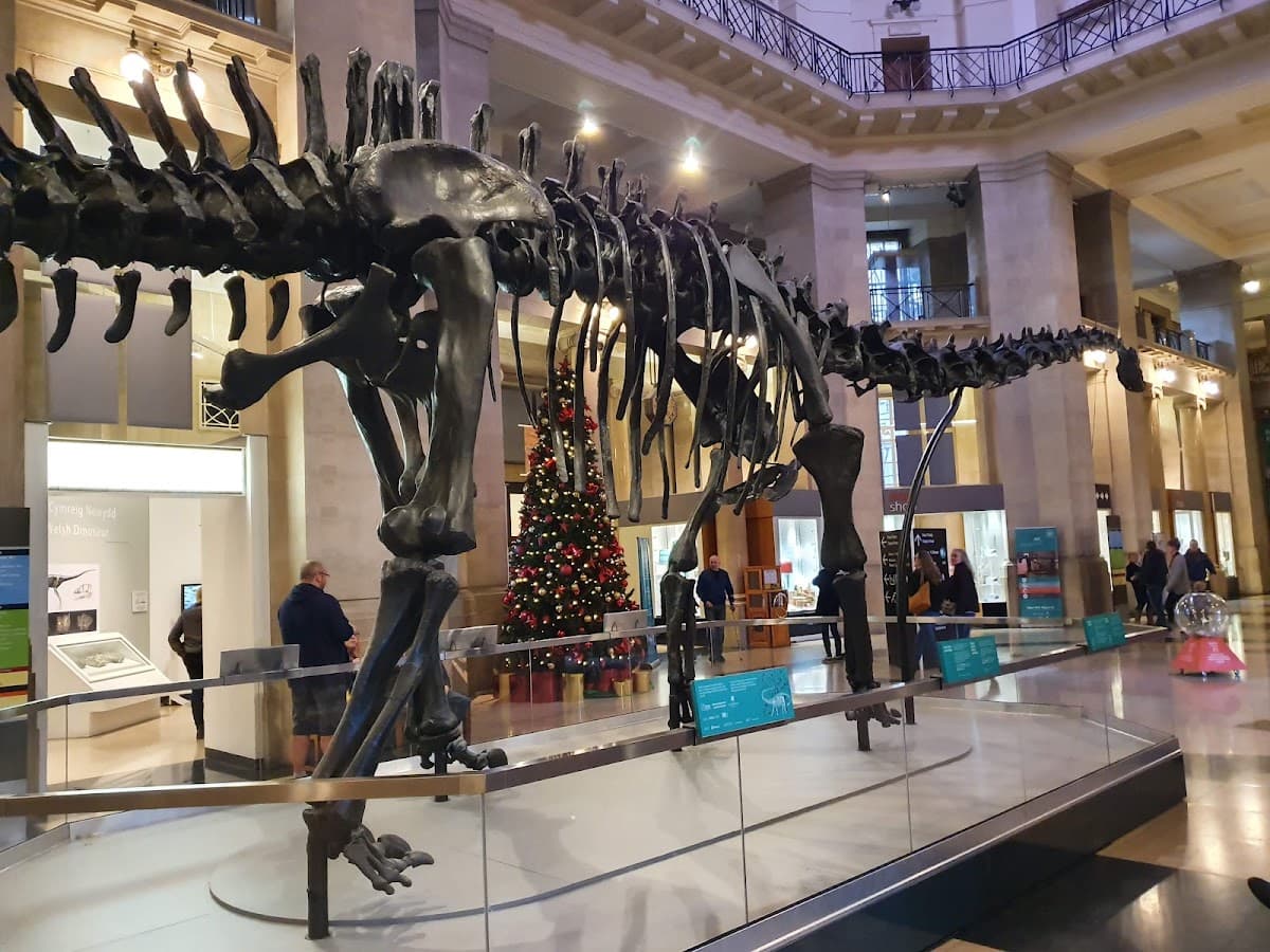 National Museum Cardiff - Image 1